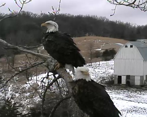 ScreenHunter_48 Feb. 21 11.25.jpg